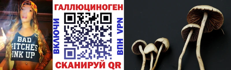 OMG зеркало Алушта shop телеграм Галлюциногенные грибы Magic Shrooms